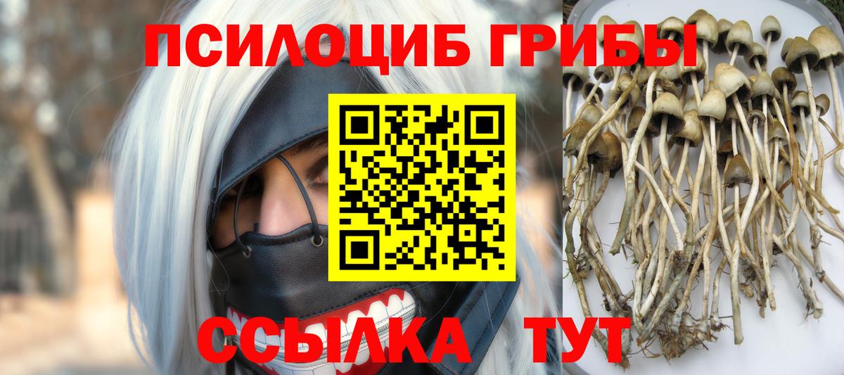 Галлюциногенные грибы ЛСД Жуковский