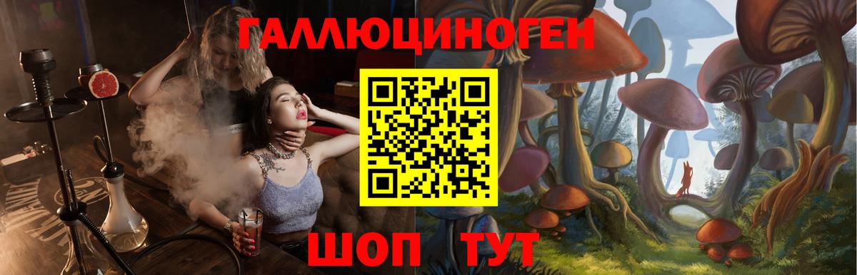 Жуковский  Псилоцибиновые грибы Magic Shrooms  Вход с VPN 
